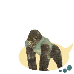 Voorlichting spraak- en taalontwikkeling